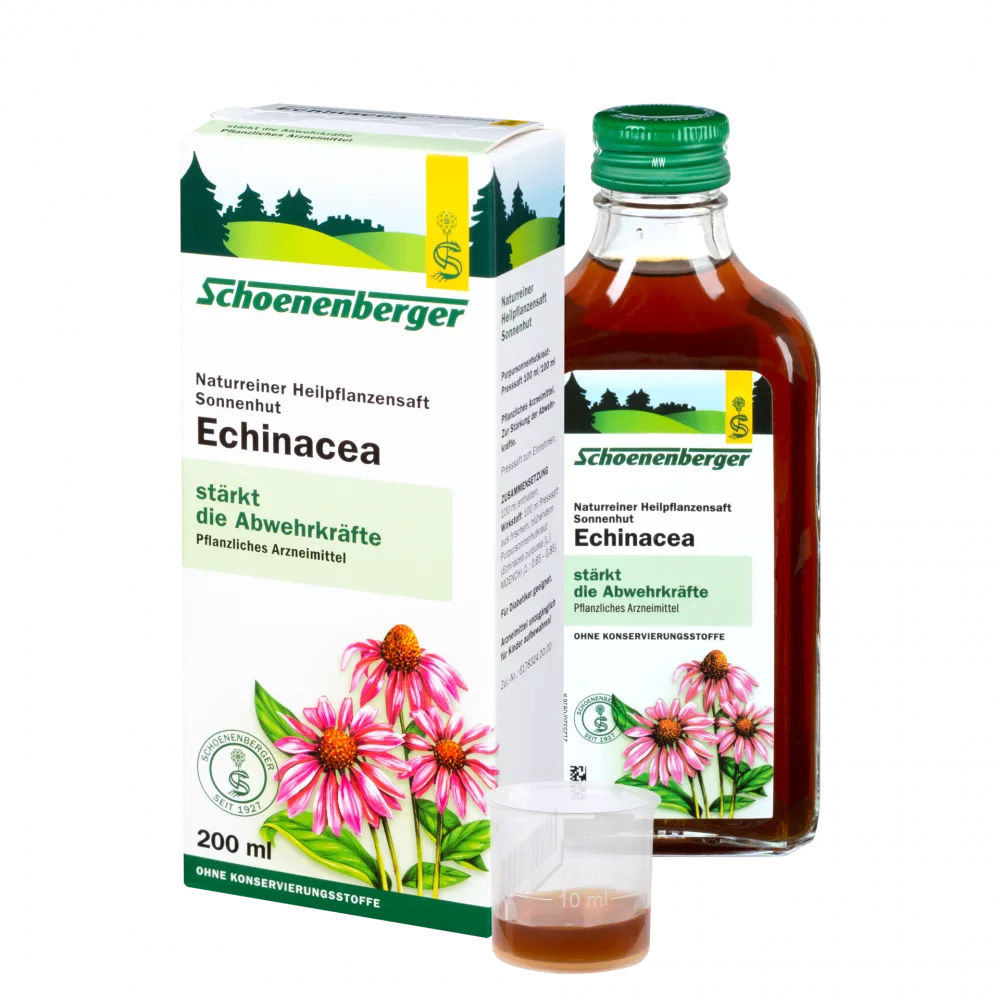 Echinacea - solhatt (Echinacea purpurea) - 7123
