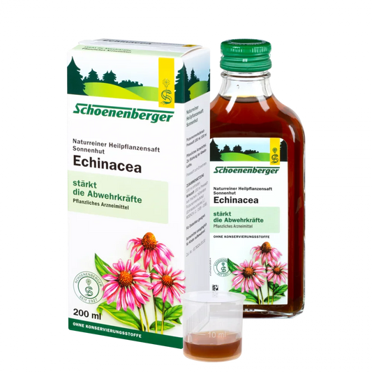 Echinacea - solhatt (Echinacea purpurea) - 7123
