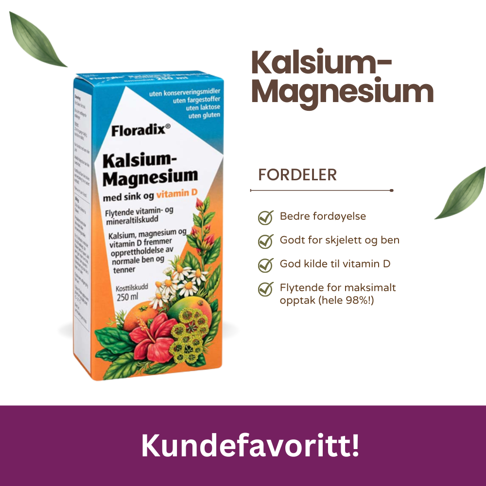 Floradix Kalsium-Magnesium (250 ml)